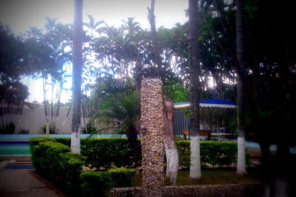 Unidade Campinas - SP 1