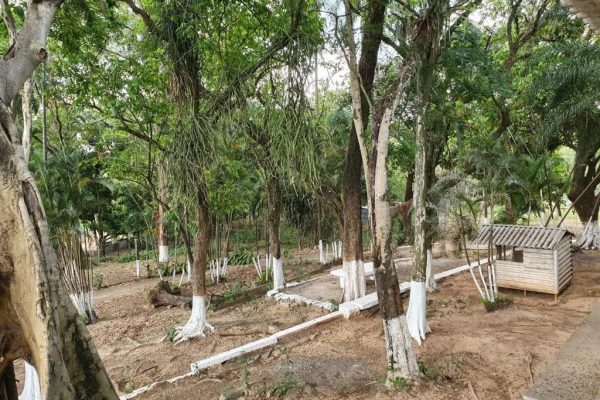 Unidade Campinas - SP 19