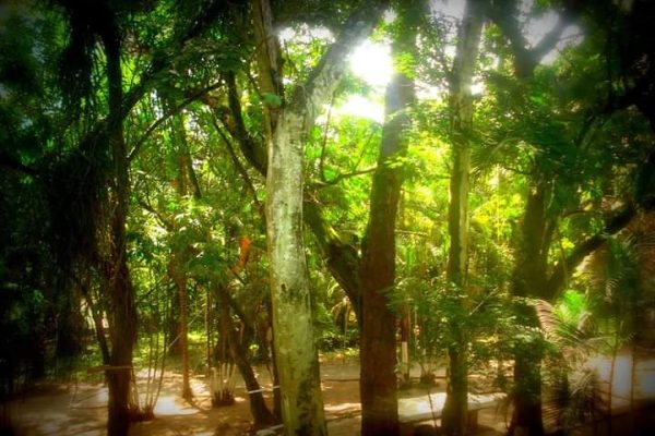 Unidade Campinas - SP 2